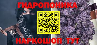 стафф Краснокаменск