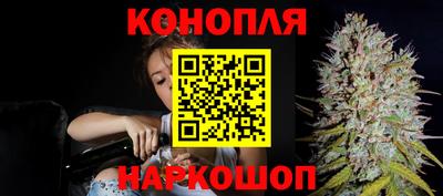 ПСИЛОЦИБИНОВЫЕ ГРИБЫ Краснодар