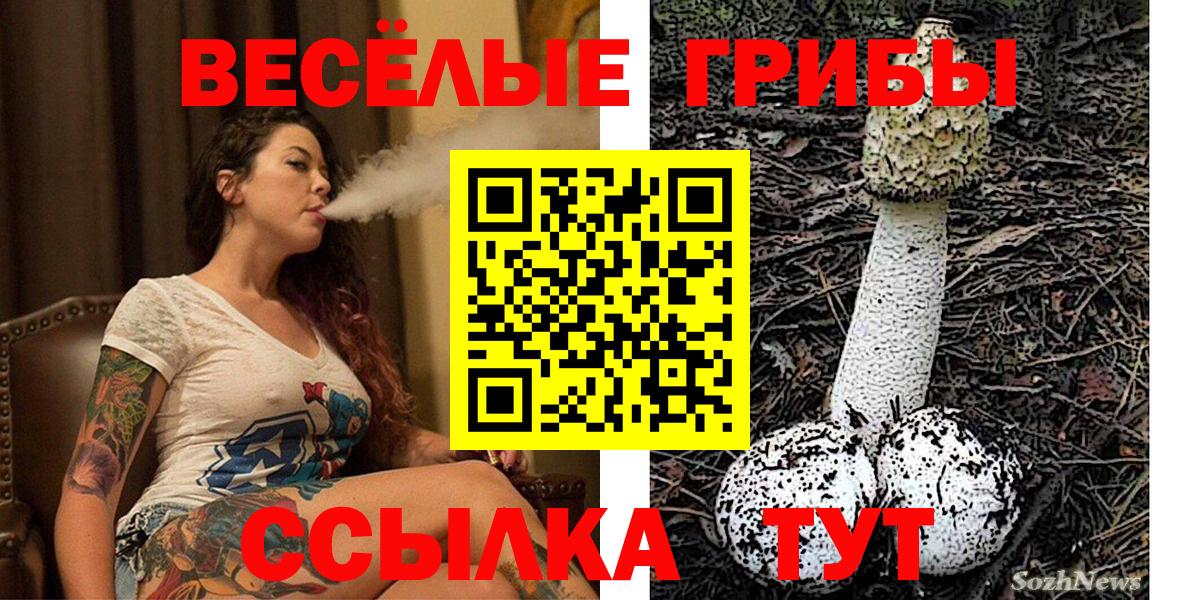Елабуга  Псилоцибиновые грибы Psilocybine cubensis  Вход с VPN 
